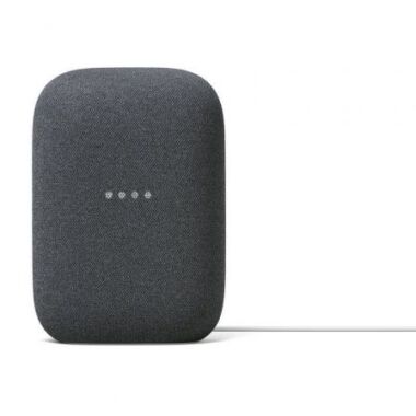 Altavoz Inteligente Google NEST Audio Carbn